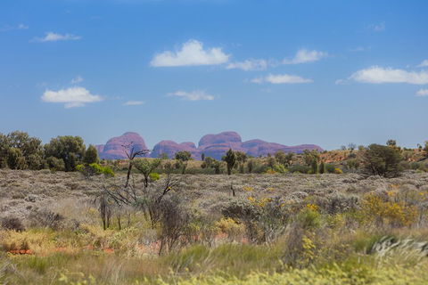 Overnight Uluru (Ayers Rock) Small-Group Camping Tour - Accommodation NT 0