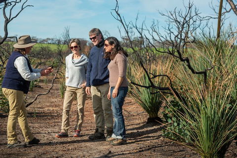 NEW TOUR - Kangaroo Island Road To Recovery Tour (1 Day/1 Night) - Accommodation NT 4
