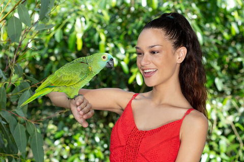 Kuranda Wildlife Experience Three Attraction Pass - Accommodation NT 1