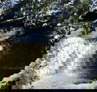 Cradle Mountain Day Tour from Launceston Including Lunch - Accommodation NT