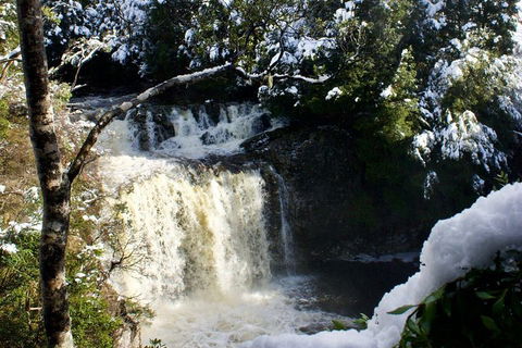 Cradle Mountain Day Tour From Launceston Including Lunch - Accommodation NT 0
