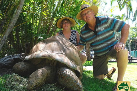 Small-Group Australia Zoo Day Trip From Brisbane - Accommodation NT 1