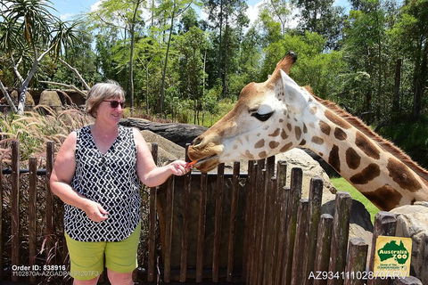 Small-Group Australia Zoo Day Trip From Brisbane - Accommodation NT 2