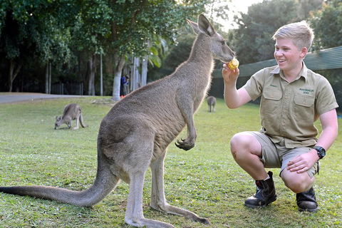 Small-Group Australia Zoo Day Trip From Brisbane - Accommodation NT 4