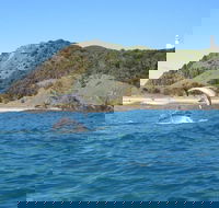 Kayaking with Dolphins in Byron Bay Guided Tour - Accommodation NT