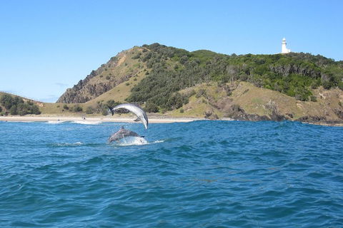 Kayaking With Dolphins In Byron Bay Guided Tour - Accommodation NT 0
