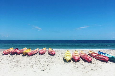 Kayaking With Dolphins In Byron Bay Guided Tour - Accommodation NT 1