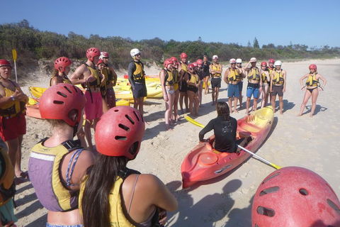 Kayaking With Dolphins In Byron Bay Guided Tour - Accommodation NT 2