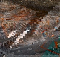 Kakadu National Park Wildlife and Ubirr Rock Art Tour from Darwin City - Accommodation NT