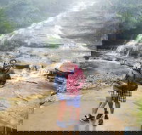 Blue Mountains Day Trip from Sydney with amazing lookouts Private Tour - Accommodation NT