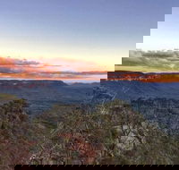 Blue Mountains Sunset Tour  Kangaroos  Koala Encounter Private Tour - Accommodation NT
