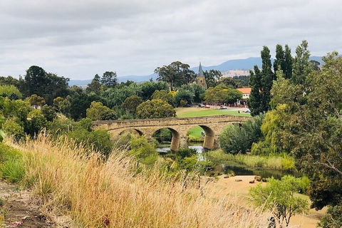 Day Tour In Mt. Field, Mt. Wellington, Bonorong Wildlife Sanctuary And Richmond - Accommodation NT 3