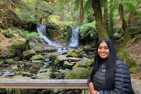Day Tour In Mt. Field, Mt. Wellington, Bonorong Wildlife Sanctuary And Richmond - Accommodation NT 5