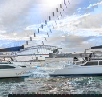 Vivid 90-Minute Sydney Harbour Catamaran Cruise with BYO Drinks - Accommodation NT