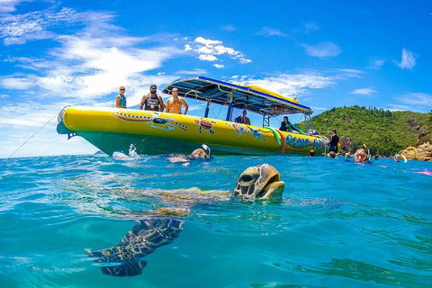 Great Barrier Reef Scenic Flight And Ocean Rafting Whitehaven Beach Day Trip - Accommodation NT 1