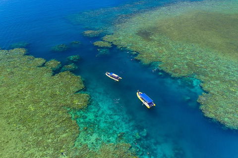 Great Barrier Reef Scenic Flight And Ocean Rafting Whitehaven Beach Day Trip - Accommodation NT 4
