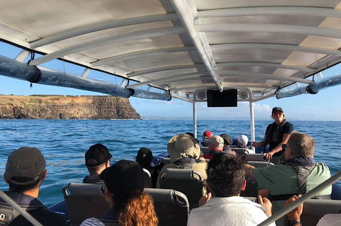 Julian Rocks Byron Bay Cruise - Accommodation NT 4