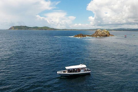 Julian Rocks Byron Bay Cruise - Accommodation NT 5