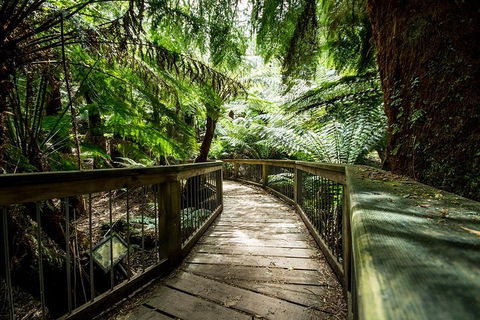 Melbourne To Adelaide South East Coast 3 Day Overland Tour - Accommodation NT 1