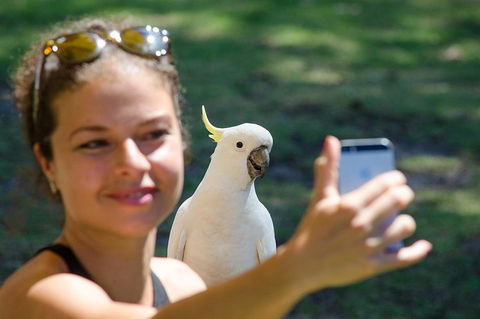 Melbourne To Adelaide South East Coast 3 Day Overland Tour - Accommodation NT 3
