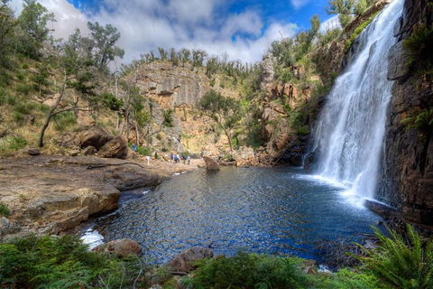 Melbourne To Adelaide South East Coast 3 Day Overland Tour - Accommodation NT 4