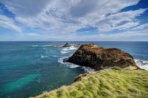 Small-Group Phillip Island Day Trip From Melbourne With Penguin Plus Viewing - Accommodation NT 0