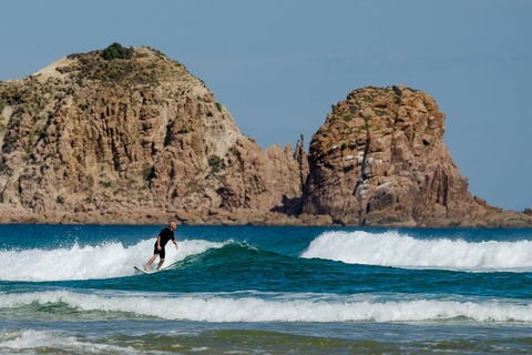 Small-Group Phillip Island Day Trip From Melbourne With Penguin Plus Viewing - Accommodation NT 3