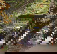 Adelaide Highlights Hahndorf  McLaren Vale Wine Tasting and Sightseeing Tour - Accommodation NT