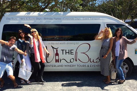 Mount Tamborine Wine Tasting Tour From Brisbane Or The Gold Coast - Accommodation NT 0