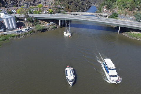 2.50 Hour Afternoon Discovery Cruise Including Cataract Gorge Departing At 3 Pm - Accommodation NT 3