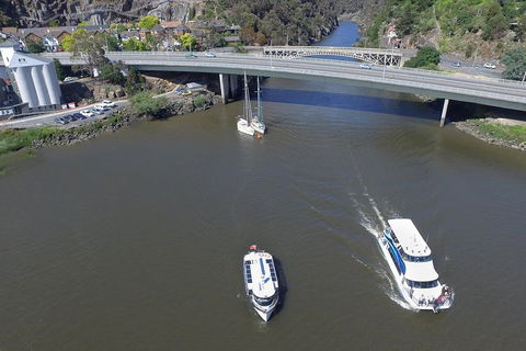 2.50 Hour Afternoon Discovery Cruise Including Cataract Gorge Departing At 3 Pm - Accommodation NT 5