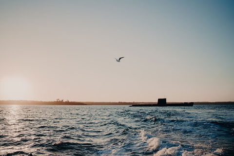 Phillip Island Twilight Cruise - Accommodation NT 1