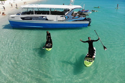 Whitsunday Bullet Day Trip - Whitehaven Beach And Snorkelling - Accommodation NT 4
