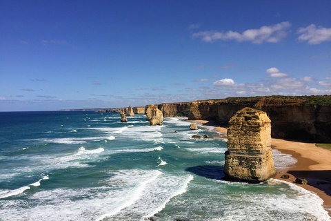 Great Ocean Road Reverse Itinerary PREMIUM Tour - Accommodation NT 2