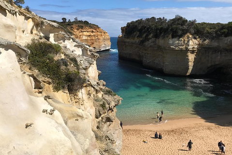 Great Ocean Road Reverse Itinerary PREMIUM Tour - Accommodation NT 3