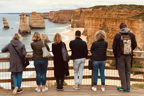 Great Ocean Road Reverse Itinerary PREMIUM Tour - Accommodation NT 5