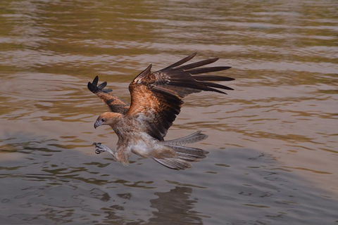Litchfield And Jumping Crocodiles Full Day Trip From Darwin - Accommodation NT 0