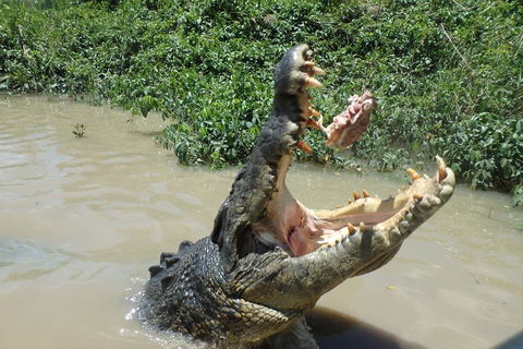 Litchfield And Jumping Crocodiles Full Day Trip From Darwin - Accommodation NT 3