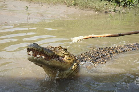 Litchfield And Jumping Crocodiles Full Day Trip From Darwin - Accommodation NT 4