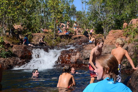 Litchfield And Jumping Crocodiles Full Day Trip From Darwin - Accommodation NT 5