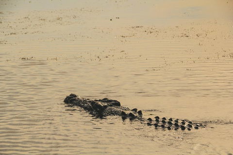 Yellow Water Cruise - Kakadu - Accommodation NT 2