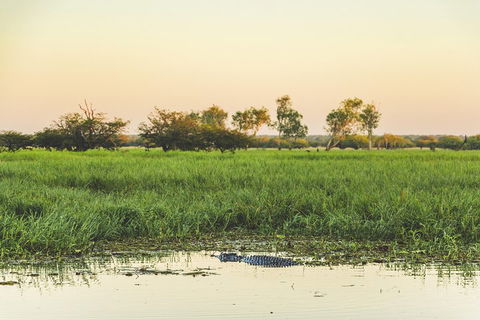 Yellow Water Cruise - Kakadu - Accommodation NT 3