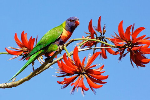 Half Day Perth & Fremantle Highlights - Accommodation NT 2