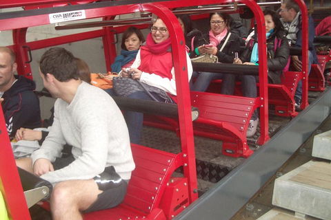 Blue Mountains Private Tour With Wildlife Park And River Cruise - Accommodation NT 0