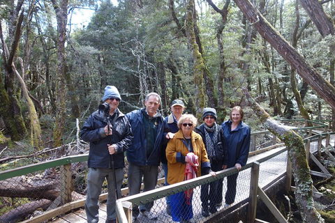 Blue Mountains Private Tour With Wildlife Park And River Cruise - Accommodation NT 2