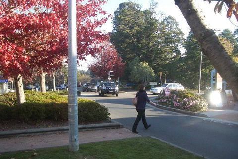 PRIVATE All-Day Blue Mountains Tour With Professional Guide For Up To 4 People - Accommodation NT 1