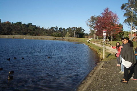PRIVATE All-Day Blue Mountains Tour With Professional Guide For Up To 4 People - Accommodation NT 2
