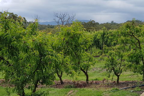 Yarra Valley Wineries And Rayners Orchard Tour From Melbourne - Accommodation NT 2