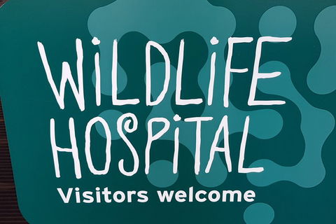 Healesville Sanctuary And Rayners Orchard Tour From Melbourne - Accommodation NT 1