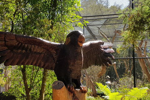Healesville Sanctuary And Rayners Orchard Tour From Melbourne - Accommodation NT 2